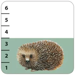 Djeco Kaartspel Batanimo -Djeco Speelgoed batanimo3